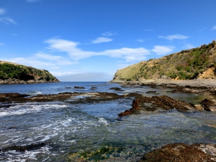 catlins (25)
